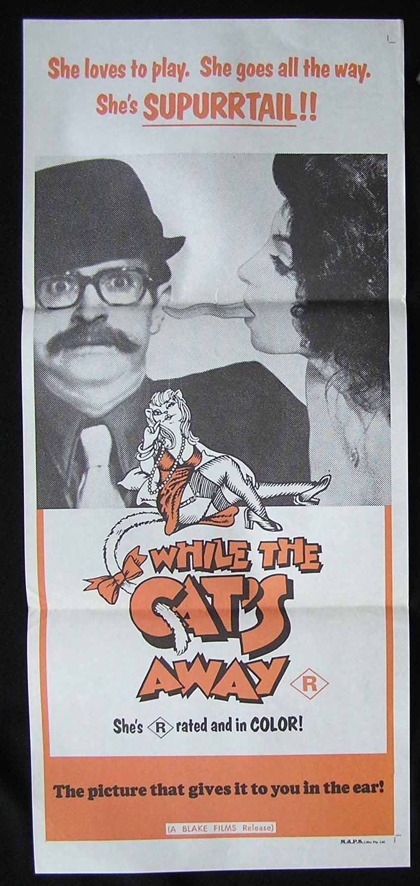 WHILE THE CATS AWAY Original daybill Movie poster Sexploitation Blake Films