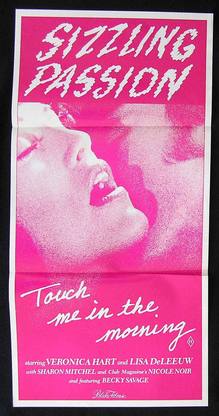 TOUCH ME IN THE MORNING ’81 Veronica Hart-Sharon Mitchell Sexploitation Movie Poster
