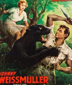 ABC Gold Coast Story on John Reid’s movie poster collection image