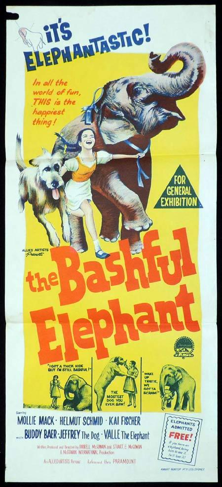 THE BASHFUL ELEPHANT Daybill Movie poster Molly McGowan