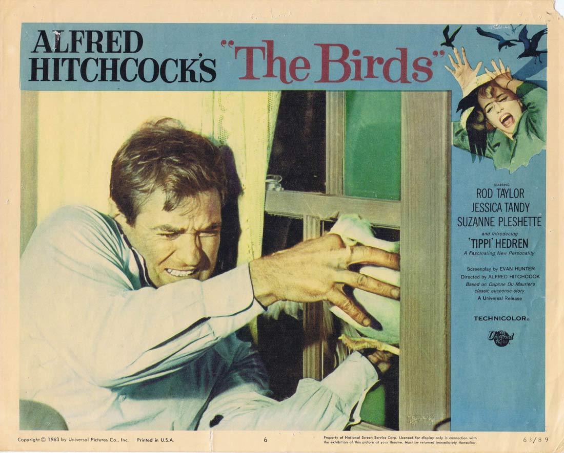 THE BIRDS Original Lobby Card 6 Rod Taylor Tippi Hedren Alffred HItchcock
