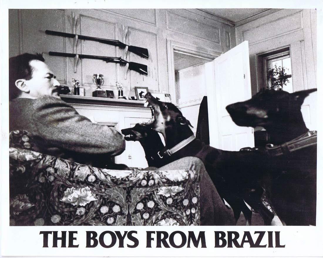 THE BOYS FROM BRAZIL Vintage Original Movie Still 1 Gregory Peck Doberman