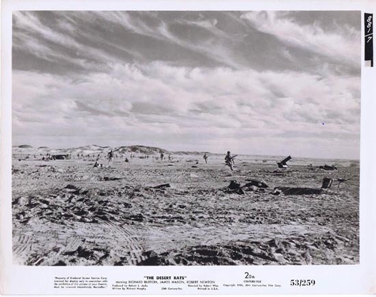 THE DESERT RATS 1953 Movie Still Photo 16 Anzac troops in the desert