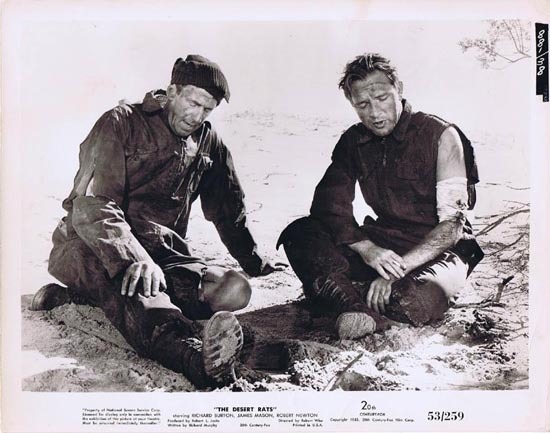 THE DESERT RATS 1953 Movie Still Photo 4 Wounded in Battle