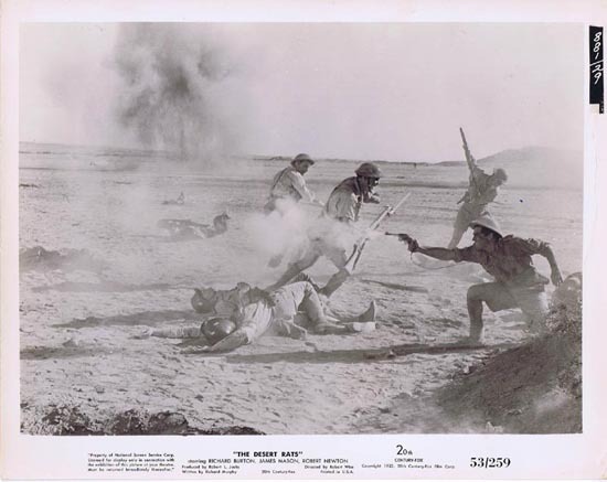 THE DESERT RATS 1953 Movie Still Photo 7 Robert Wise Anzac Troops Tobruk