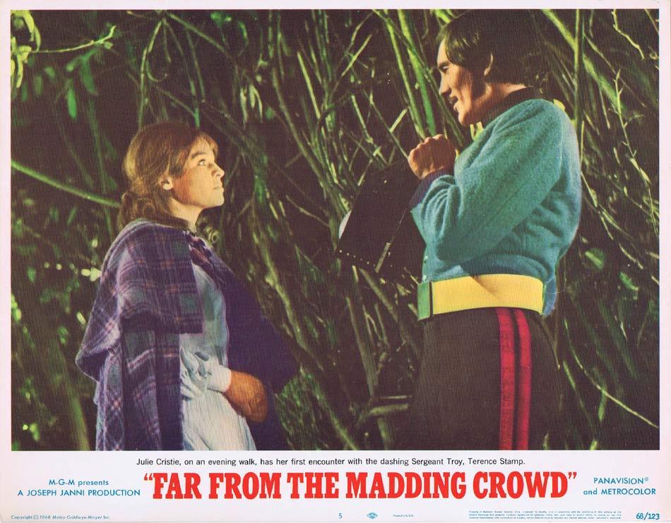 FAR FROM THE MADDING CROWD Lobby Card 5 Julie Christie Terence Stamp