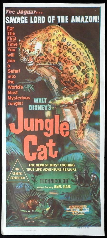 JUNGLE CAT Original Daybill Movie poster Spotted Jaguar documentary