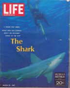 LIFE Magazine Australia Mar 20 1967 The Shark - Introductory Australian edition