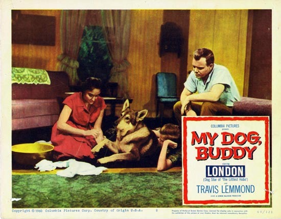 MY DOG BUDDY 1960 US Lobby card 8 London Littlest Hobo