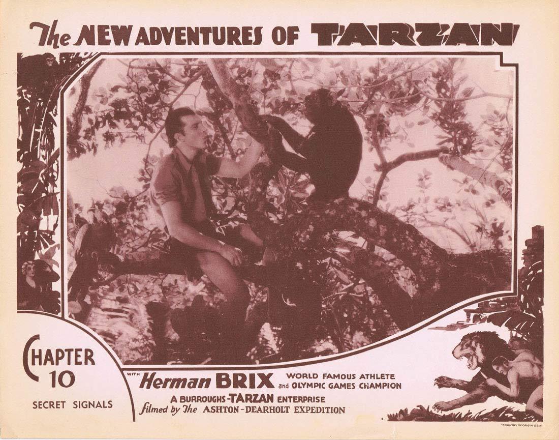 THE NEW ADVENTURES OF TARZAN Chapter 10 Lobby Card 5 Herman Brix Vintage Serial 1935