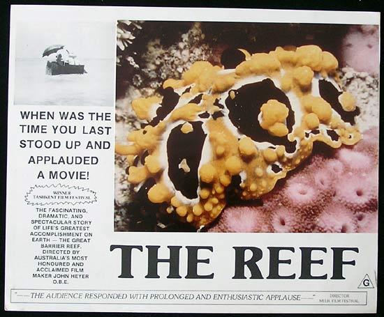 THE REEF 1977 John Heyer Documentary GREAT BARRIER REEF Lobby Card 4
