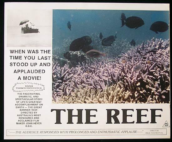 THE REEF 1977 John Heyer Documentary GREAT BARRIER REEF Lobby Card 7