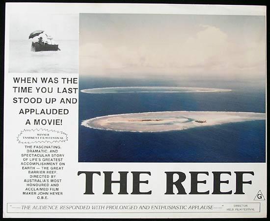 THE REEF 1977 John Heyer Documentary GREAT BARRIER REEF Lobby Card 8