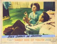 SWEET BIRD OF YOUTH Lobby Card 5 1962 Paul Newman