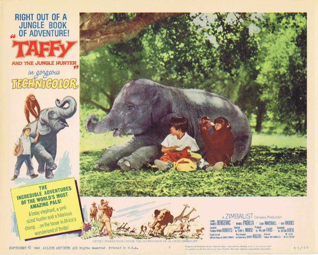 TAFFY AND THE JUNGLE HUNTER Lobby Card 8 Baby Elephant Jacques Bergerac