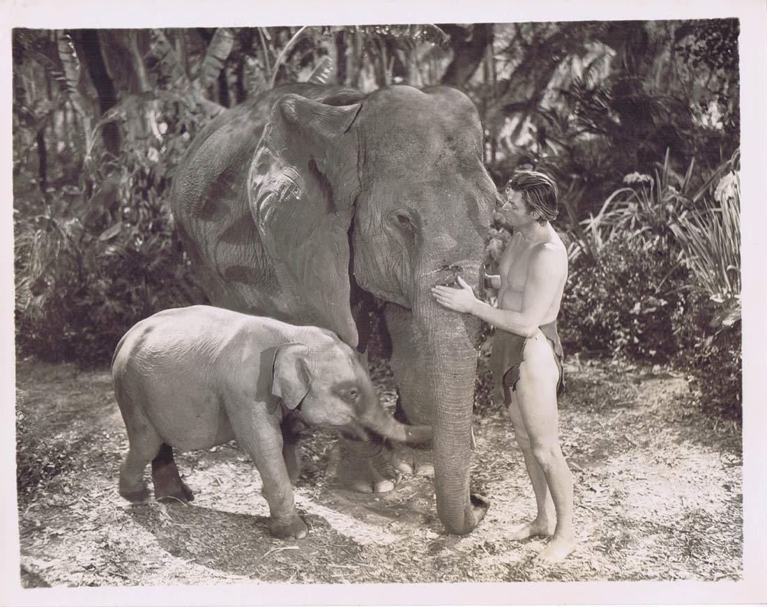 TARZAN FINDS A SON Vintage Movie Still 17 Johnny Weissmuller Elephants