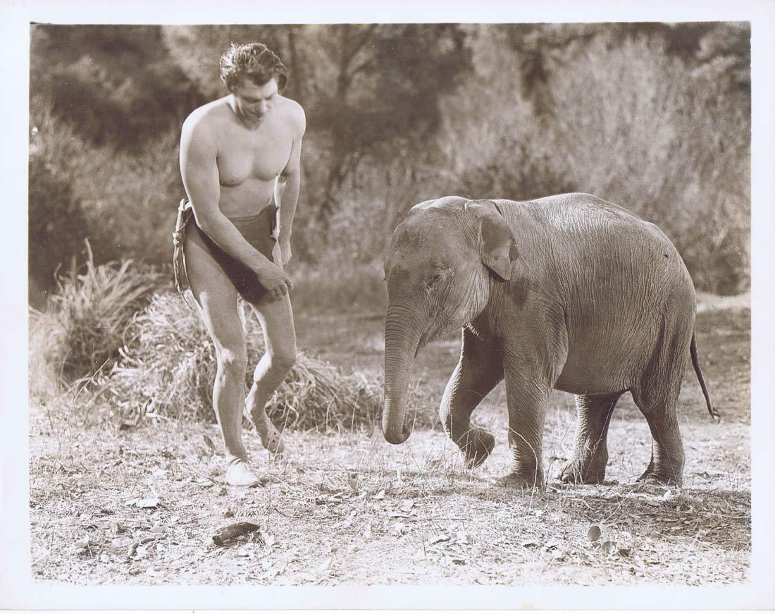 TARZAN FINDS A SON 1939 Movie Still 34 Johnny Weissmuller trains Elephant