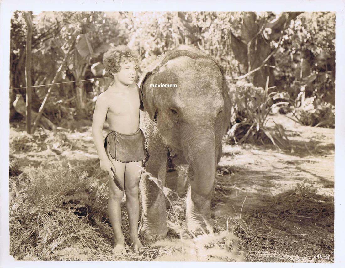 TARZAN’S SECRET TREASURE Movie Still 33 Johnny Sheffield with elephant