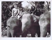 TARZAN'S SECRET TREASURE Movie Still 34 Johnny Sheffield riding Elephant