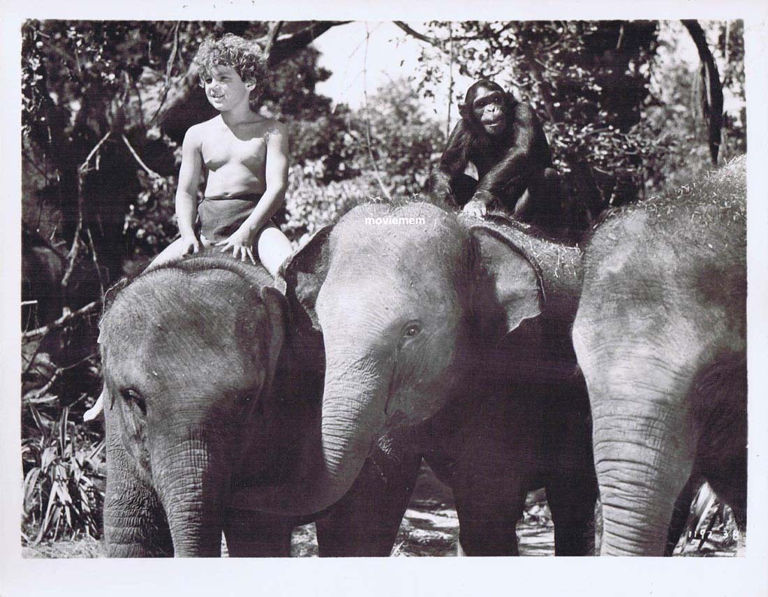 TARZAN’S SECRET TREASURE Movie Still 34 Johnny Sheffield riding Elephant