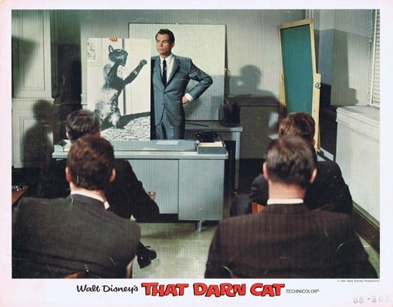 THAT DARN CAT Lobby Card 1965 Disney Dean Jones