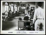 A TOWN LIKE ALICE 1956 Classic AUSTRALIAN FILM Rare Movie Still 12