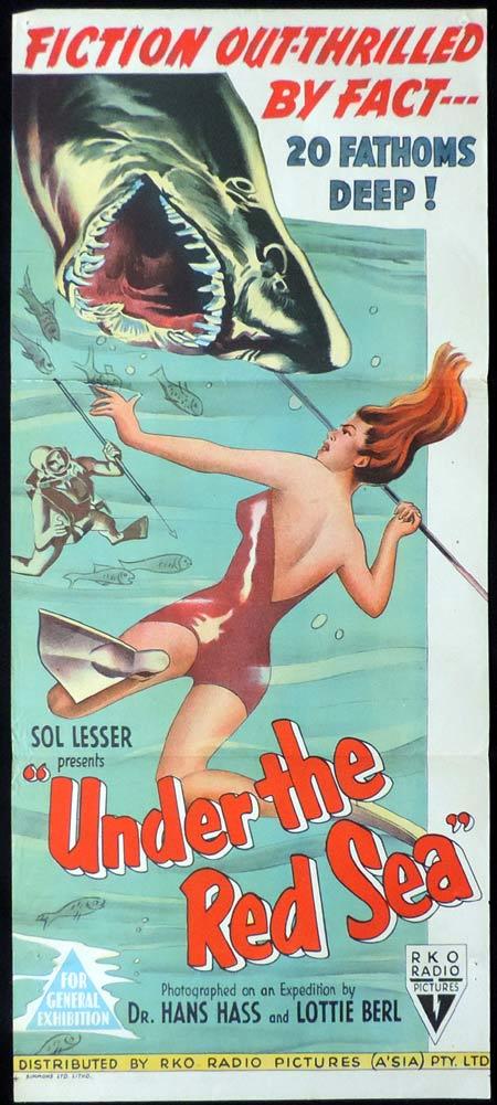 UNDER THE RED SEA Original Daybill Movie Poster Dr Hans Haas Scuba Diving Shark art RKO