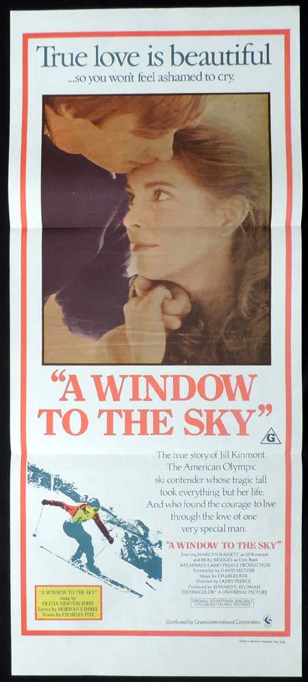 THE OTHER SIDE OF THE MOUNTAIN Original Daybill Movie Poster A Window to the Sky
