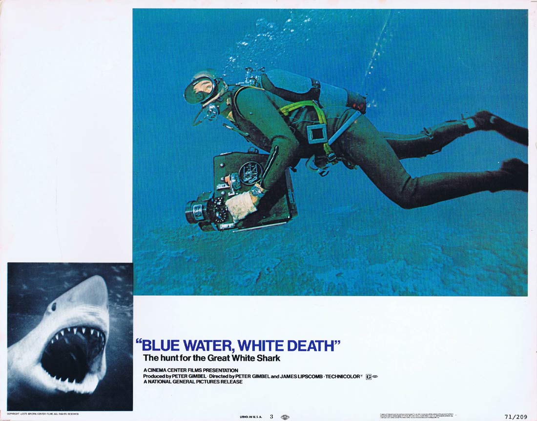 BLUE WATER WHITE DEATH Original Lobby Card 3 Great White Shark