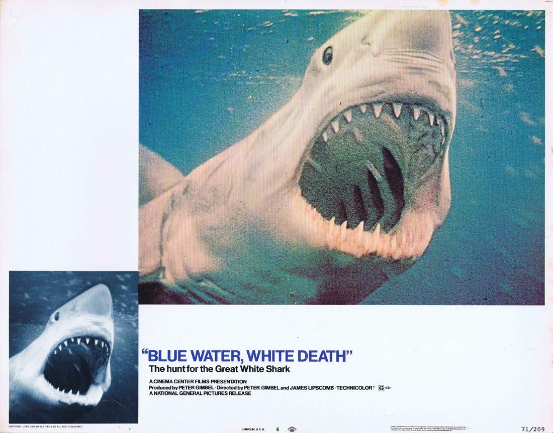 BLUE WATER WHITE DEATH Original Lobby Card 4 Great White Shark