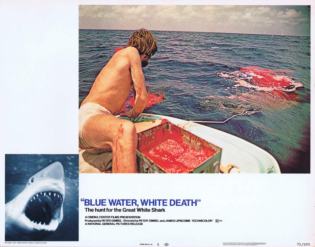 BLUE WATER WHITE DEATH Original Lobby Card 5 Great White Shark