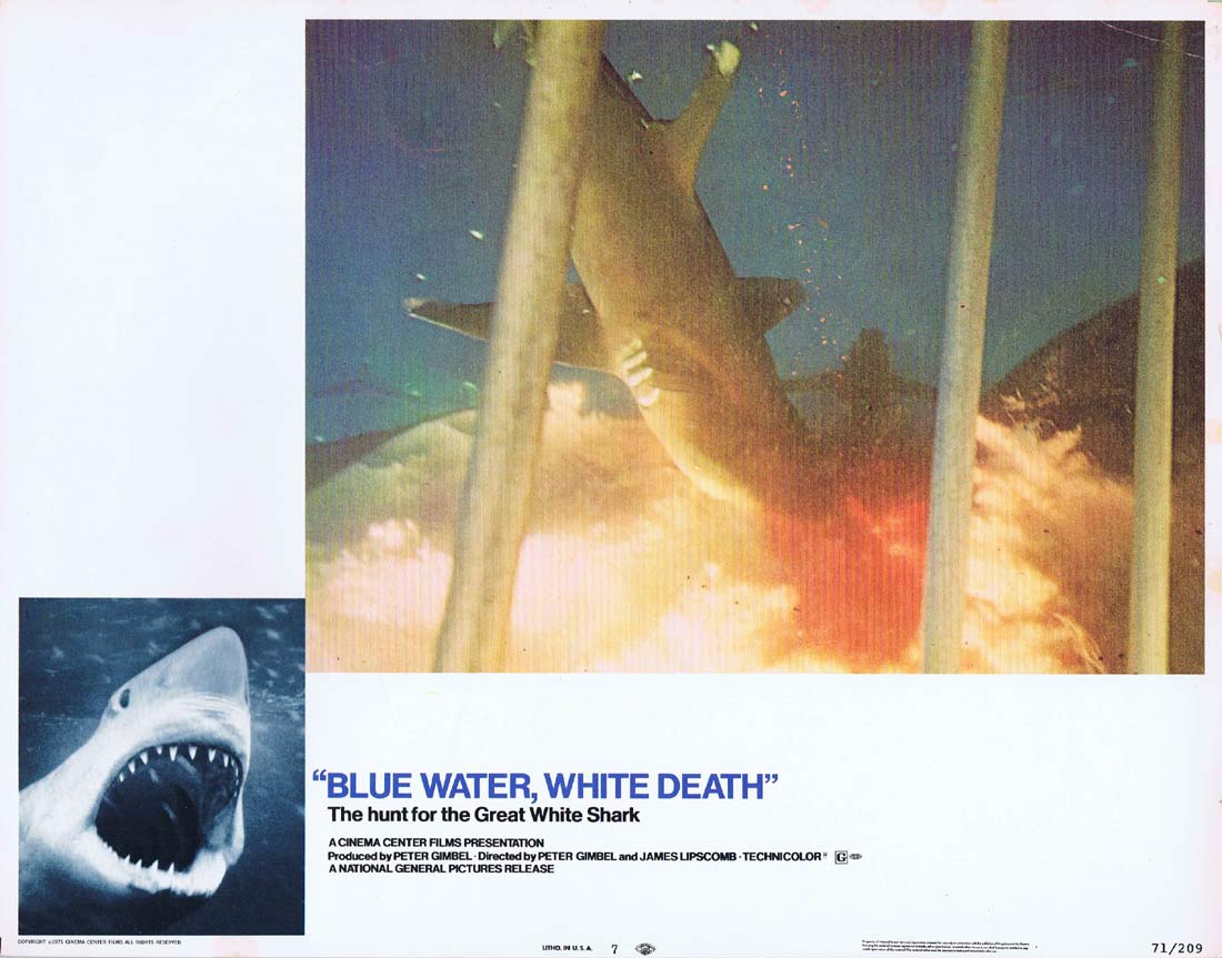 BLUE WATER WHITE DEATH Original Lobby Card 7 Great White Shark