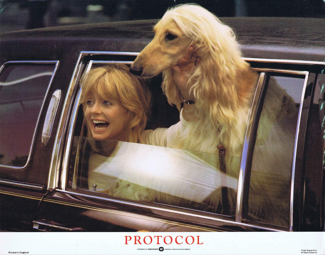 PROTOCOL Original Lobby Card 2 Goldie Hawn Chris Sarandon