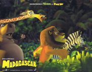 MADAGASCAR Original Lobby Card 2 Ben Stiller Chris Rock David Schwimmer