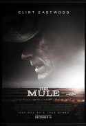 THE MULE Original DS One sheet Movie poster Clint Eastwood Bradley Cooper