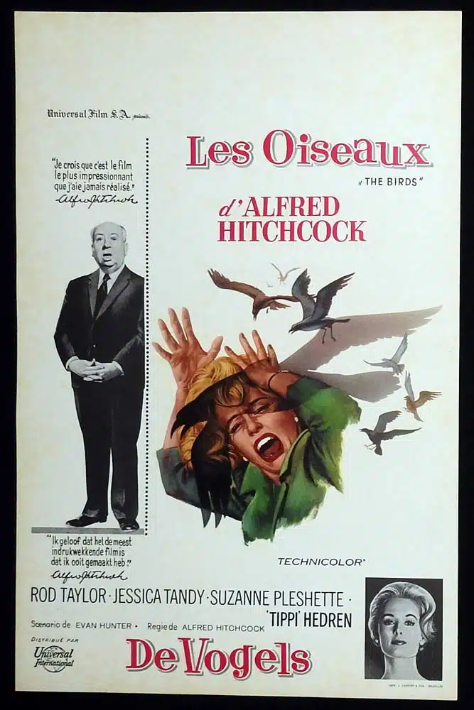 THE BIRDS Original Belgian Movie Poster Alfred Hitchcock Rod Taylor Tippi Hedren