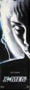 X MEN STORM Original VINYL BANNER Movie poster VERY RARE Patrick Stewart Hugh Jackman Halle Berry