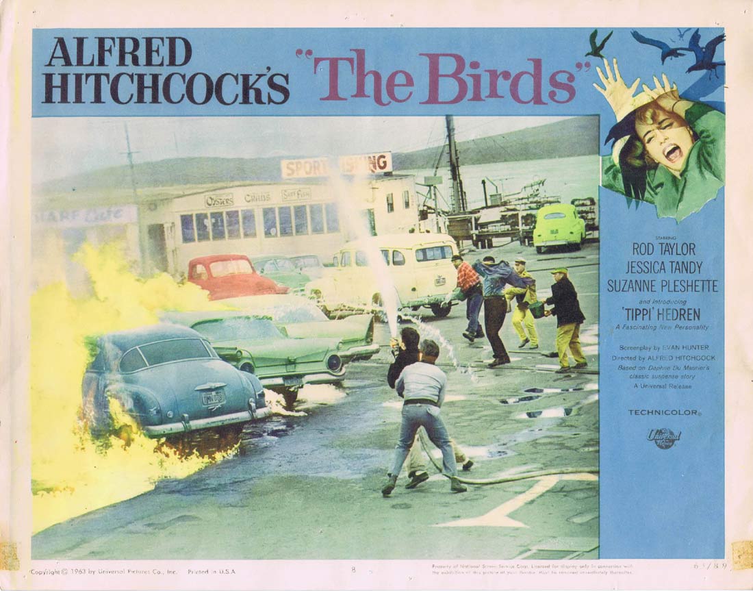 THE BIRDS Original US Lobby Card 8 Alfred Hitchcock Rod Taylor Tippi Hedren