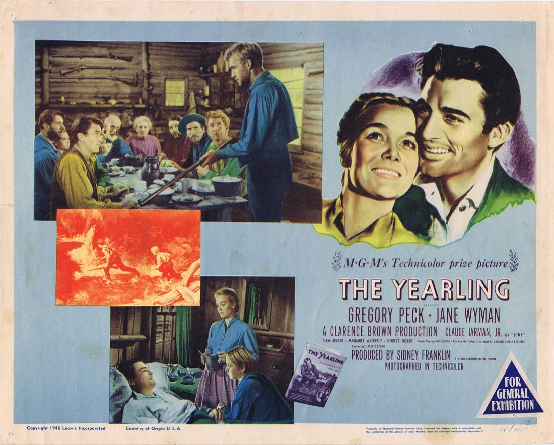 THE YEARLING Original Lobby Card 2 Gregory Peck Jane Wyman