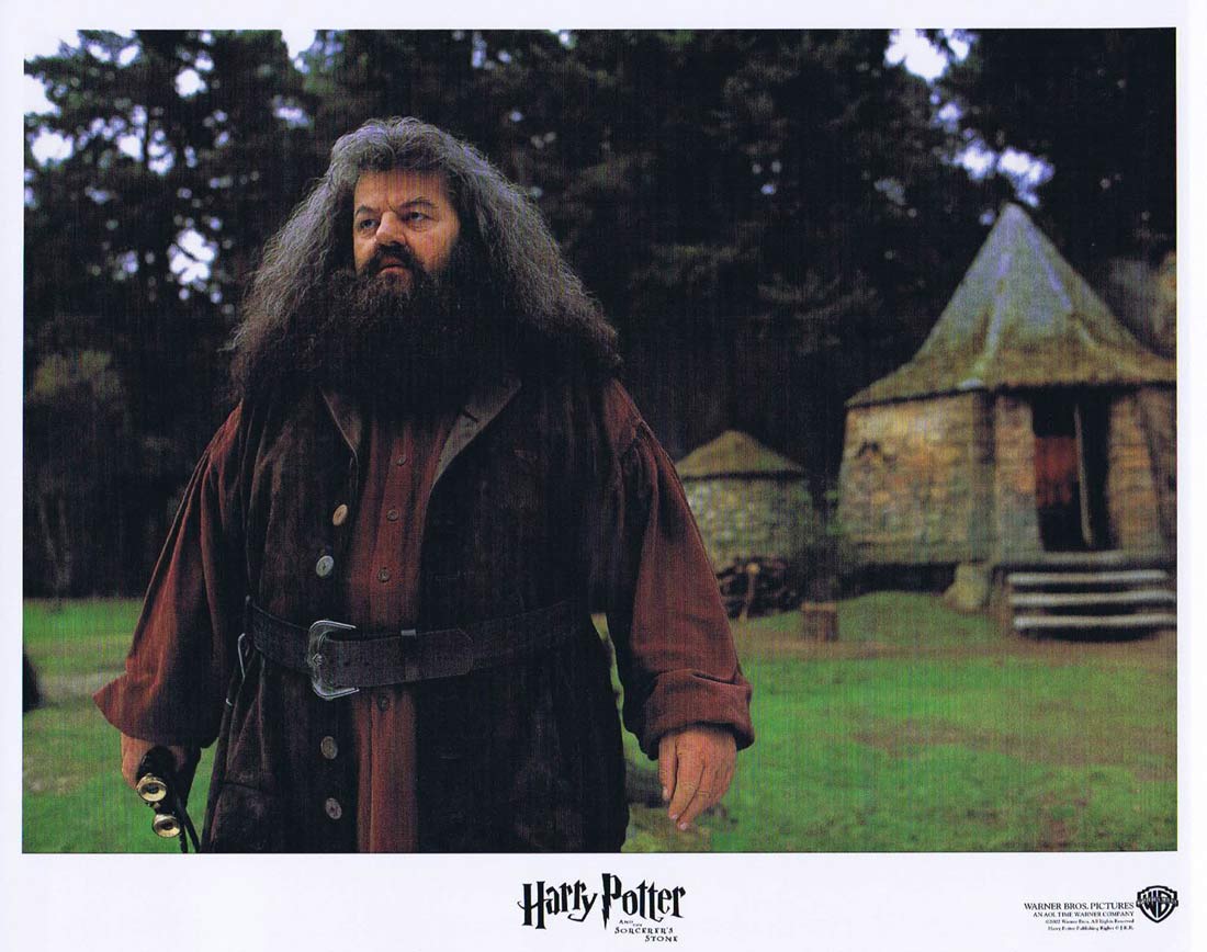 HARRY POTTER AND THE SORCERERS STONE Original 8 x 10 Lobby Card Still 4